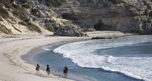 Lets go Horse Riding in Gansbaai!